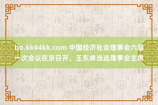 bo.kk44kk.com 中国经济社会理事会六届一次会议在京召开，王东峰当选理事会主席