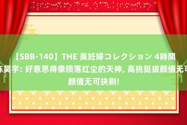【SBB-140】THE 美妊婦コレクション 4時間 女星陈昊宇: 好意思得像陨落红尘的天神, 高挑挺拔颜值无可抉剔!
