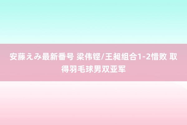 安藤えみ最新番号 梁伟铿/王昶组合1-2惜败 取得羽毛球男双亚军