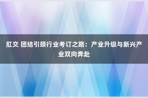 肛交 团结引颈行业考订之路：产业升级与新兴产业双向奔赴