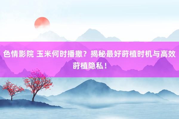 色情影院 玉米何时播撒？揭秘最好莳植时机与高效莳植隐私！