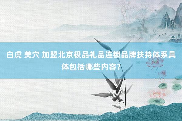 白虎 美穴 加盟北京极品礼品连锁品牌扶持体系具体包括哪些内容？