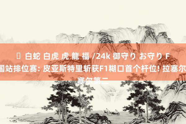 ✨白蛇 白虎 虎 龍 福 /24k 御守り お守り F1中国站排位赛: 皮亚斯特里斩获F1糊口首个杆位! 拉塞尔第二