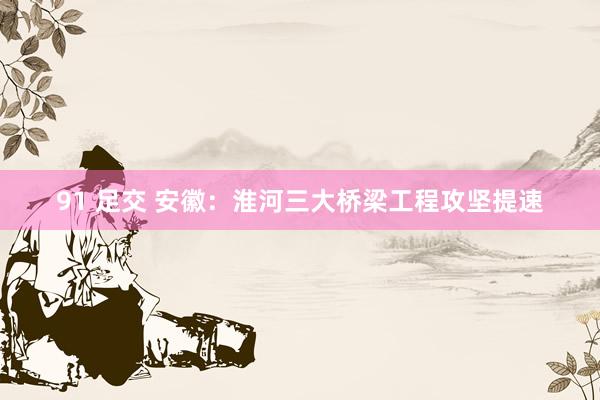 91 足交 安徽：淮河三大桥梁工程攻坚提速