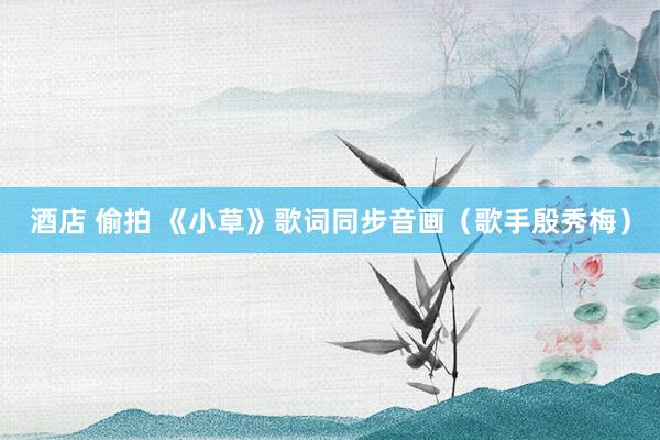 酒店 偷拍 《小草》歌词同步音画（歌手殷秀梅）