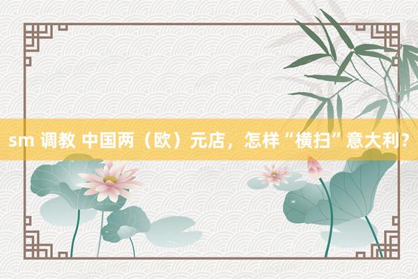 sm 调教 中国两（欧）元店，怎样“横扫”意大利？