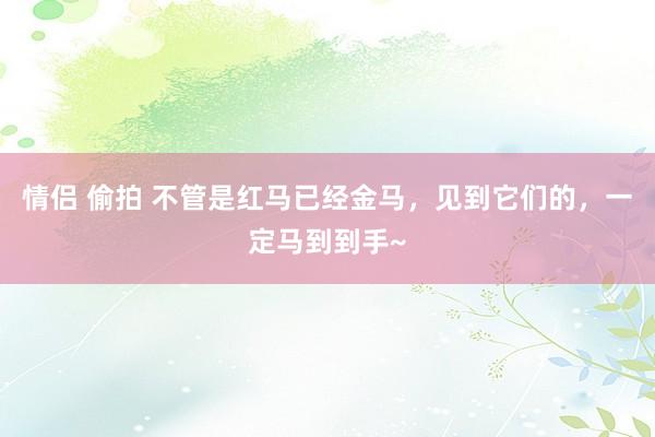 情侣 偷拍 不管是红马已经金马，见到它们的，一定马到到手~